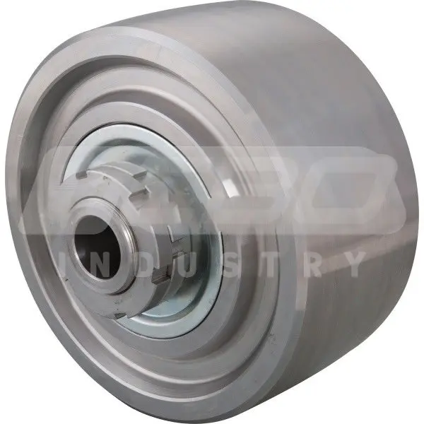 SPECTACLE WEAR PLATE DN230/260 570 D22 /R909