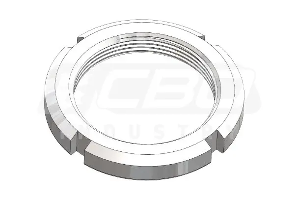 RING NUT 55X2