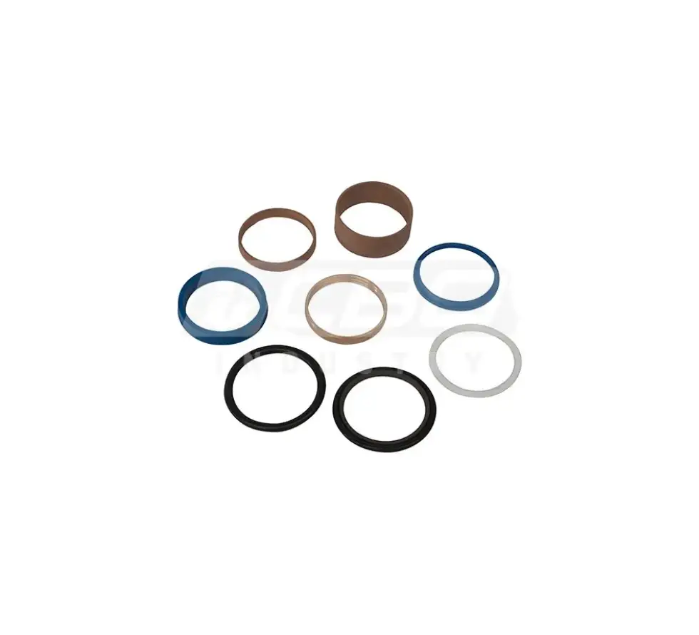 SEAL SET FOR PLUNGER CYLINDER Q160-60 SPZ -GEN.1 (8S)